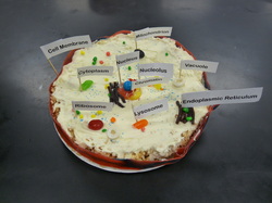 plant cell project non edible